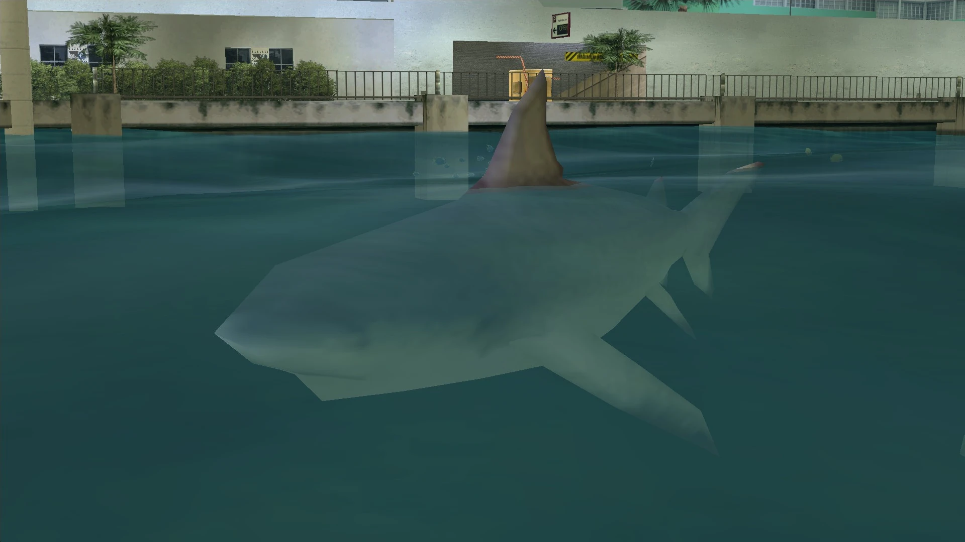 Sharks | GTA Wiki | Fandom