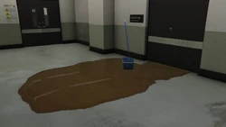 The sewage leak
