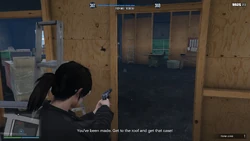 The protagonist is spotted