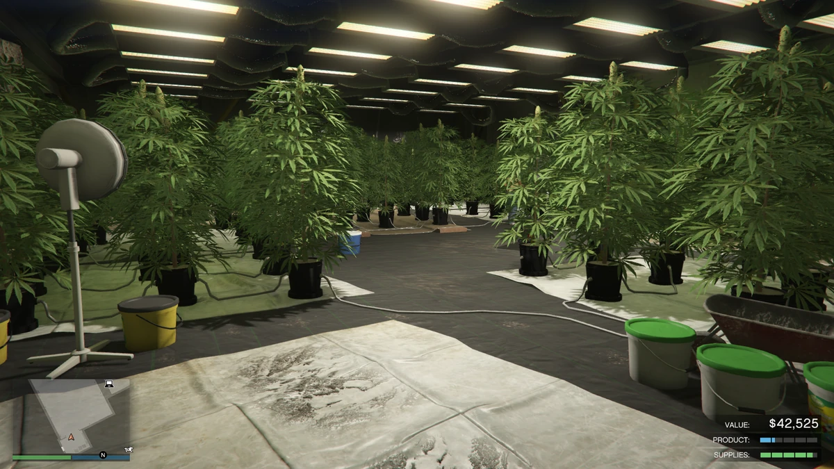 Weed Farm GTA Wiki Fandom