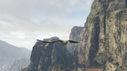 A Seagull in GTA V.