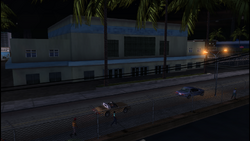 Vice City Police Department (VCPD)  GTA Vice City Gangs & Factions Guide