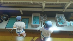 Processing and packing the meth.