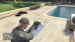 Leave the area after he passed out