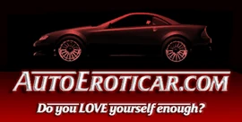 AutoEroticar-GTAIV-WebBanner2.png (53 KB) Horizontal web banner.