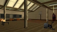 MaddDogg'sCrib-GTASA-gym