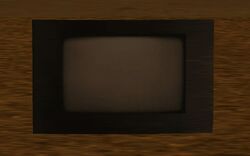 A black wide-screen television.