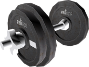 A ProLaps Dumbbell model.