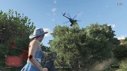Enemies arrive in 