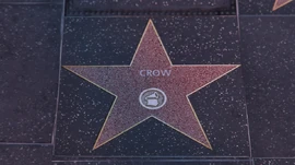 Crow's star on the Vinewood Walk of Fame.