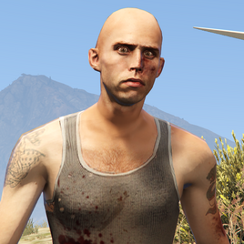 GJ-GTAOe-Portrait