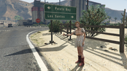 GirlHitchhiking-GTAV-Pickup