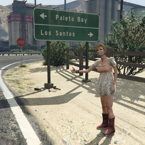 Street Races Gta 5 Wiki Guide Ign