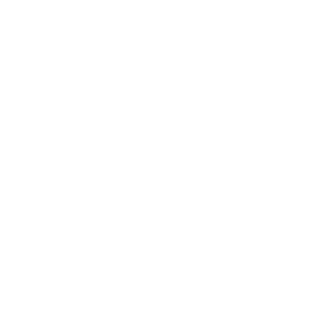 LSUR-GTAO-Logo