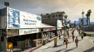VespucciBeachSidewalk-GTAV.jpg (210 KB) VespucciBeachSidewalk-GTAV