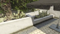 LDOrganicsProduct-GTAOe-Location45