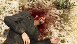 MrPhilips-GTAV-SS55.png (3.34 MB) MrPhilips-GTAV-SS55