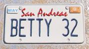 CustomLicense-GTAV-BETTY 32.png