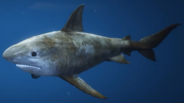 gta 5 shark mod