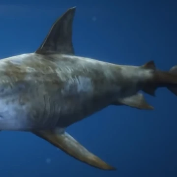 great white shark gta 5 xbox one