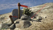Peyote Plants GTAVe 03 Mt Chiliad View.jpg