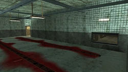Freezer