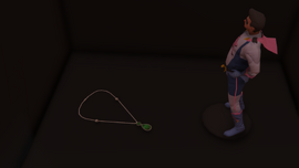 The target necklace in the safe.