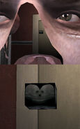 Packie's brain-box.