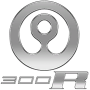 300R-GTAOe-Badges