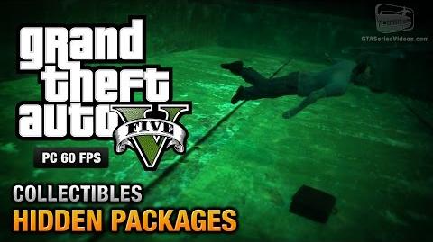 GTA 5 PC - Hidden Packages Briefcases Location Guide