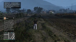 Text message with information about Madrazo Hits.