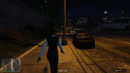 Steal a van.