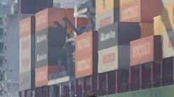 Lando-Corp
