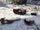 Yeti-GTAOe-YetiHunt-BodyParts.png