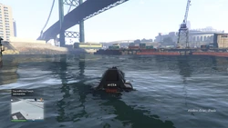 Collected Tony's submersible