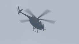 SecurityContract-AssetProtection-GTAOe-DiamondEquipment-BackupBuzzard.png (313 KB) Buzzard backup.