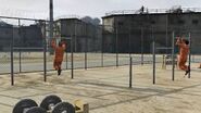 Other inmates working out in the yard