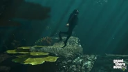 GTAV-Screenshot20.jpg (291 KB) Scuba diving.