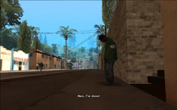 Smoke is out of breath and tells CJ to chase the Vagos member and finish him off.