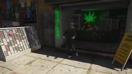 GTAVGameplayTrailer-GTAV-SS49