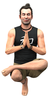 FabienLaRouche-GTAV-Yoga.png