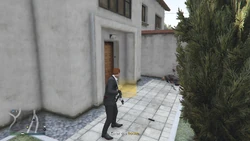 Enter the house