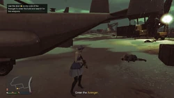 Enter the Avenger