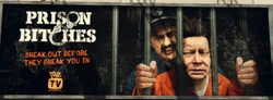 Billboard of the MeTV show Prison Bitches.