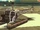 Sea Sparrow (3D Universe)