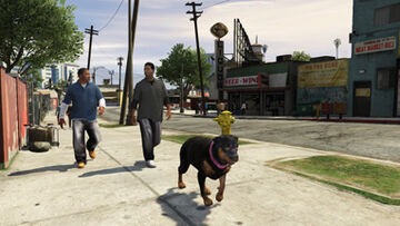 Chop | GTA Wiki