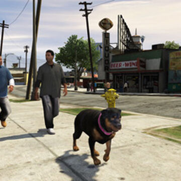 gta 5 chop dog