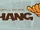 Hang Ten (business)