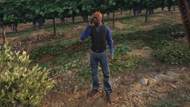 Unnamed Judge GTAO Standing.png (3.42 MB) The judge.