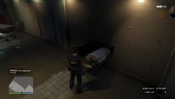 Photographed the body.